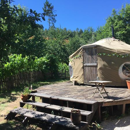 Star Gazing Luxury Yurt With River Views, Off Grid Eco Living Vale do Barco Kültér fotó