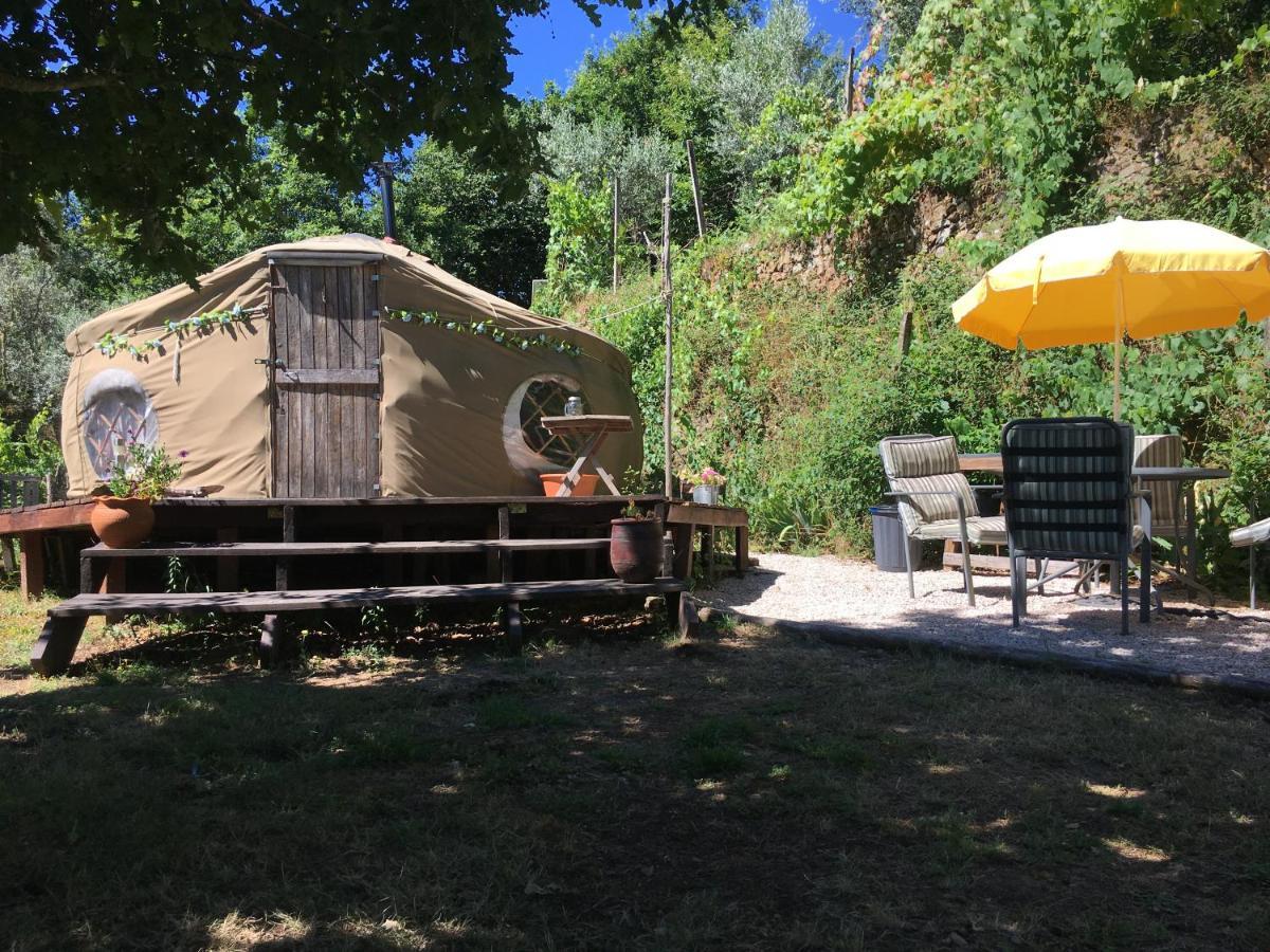 Star Gazing Luxury Yurt With River Views, Off Grid Eco Living Vale do Barco Kültér fotó