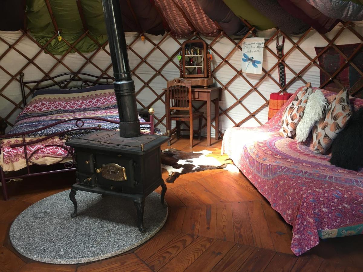 Star Gazing Luxury Yurt With River Views, Off Grid Eco Living Vale do Barco Kültér fotó