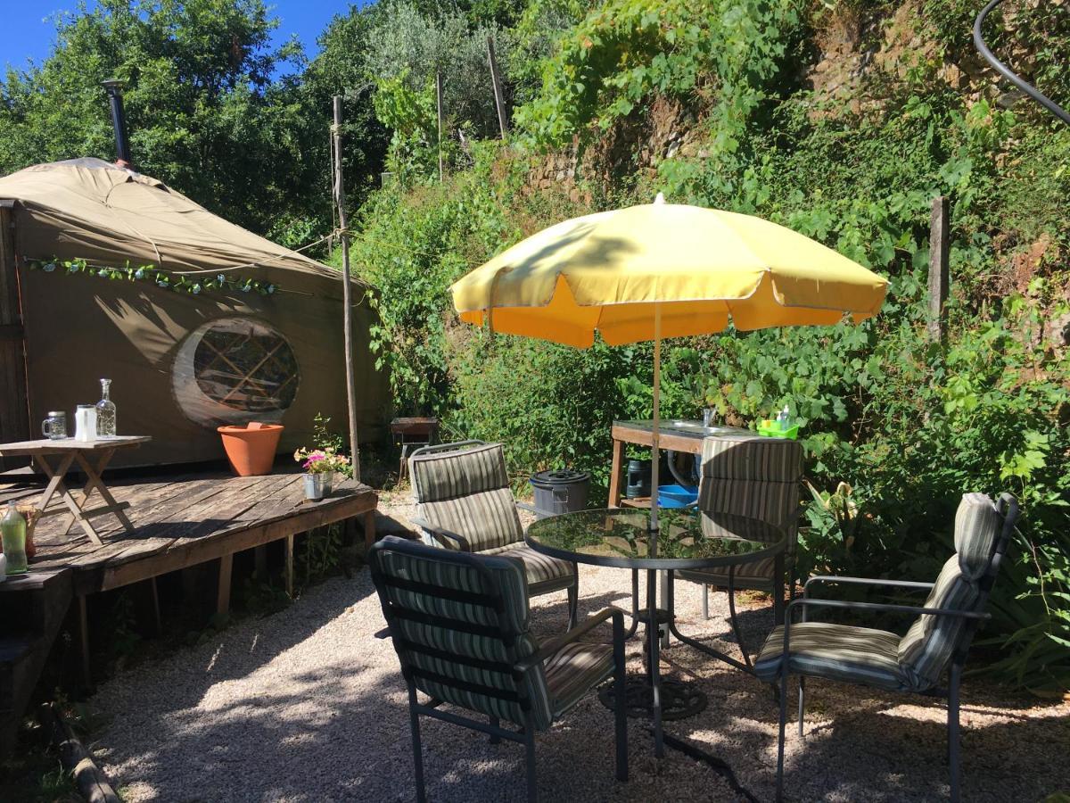 Star Gazing Luxury Yurt With River Views, Off Grid Eco Living Vale do Barco Kültér fotó